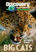 Ultimate Guide: Big Cats