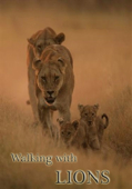 Walking With Lions