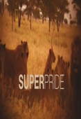 Super Pride