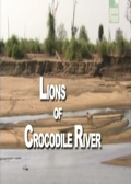 Lions of Crocodile River