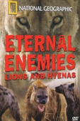 Eternal Enemies: Lions and Hyenas