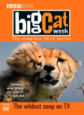 Big Cat Diary