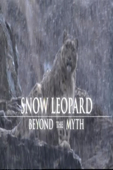 Snow Leopard Beyond The Myth