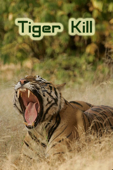 Tiger Kill