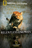 Relentless Enemies