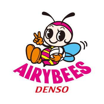 Cover: Denso Airybees